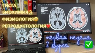 Первая неделя на 2 курсе меда | практика, топовые ресурсы, впечатления