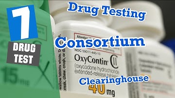 Trucker Drug Testing, Consortium & Clearinghouse | Trucking Vlog