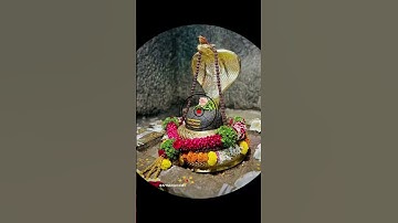 पशूनां पतिं पापनाशं परेशं गजेन्द्रस्य कृत्तिं वसानं वरेण्यम #mahadev #mantra #mahadevstatus