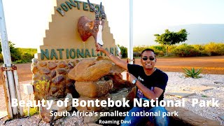South Africa's smallest National Park : Bontebok National Park | Swellendam |CapeTown| South Africa South Africa's smallest National Park : Bontebok National Park | Swellendam |CapeTown| South Africa
