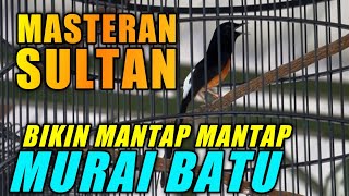 Download lagu MASTERAN SULTAN yang jadikan MURAI BATU mantap mantap