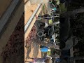 Tapi meri Pancha Mela