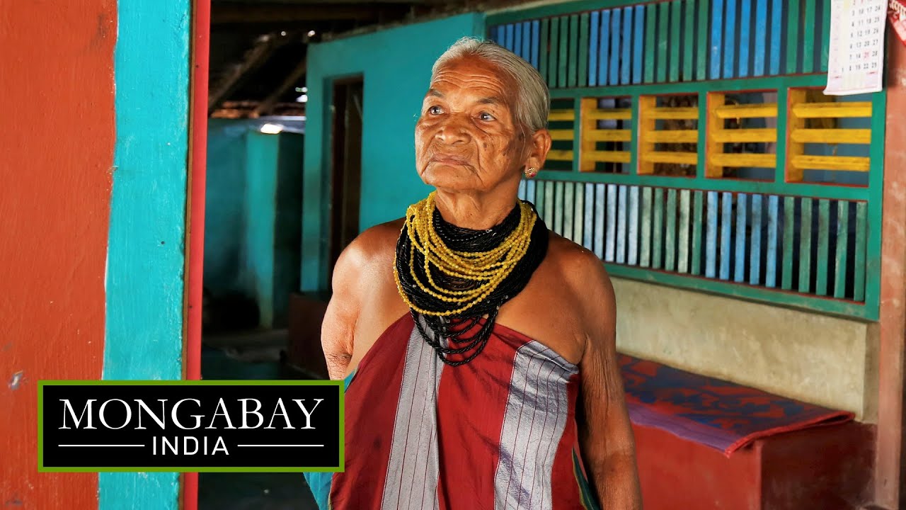 Padma Shri Award makes Tulasi Gowda happy, but trees make her happier