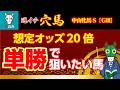 【これは買い！】コレだけ好走条件が揃ってこのオッズ！