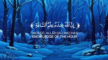 يا أيها الناس إتقوا ربكم🌿ما تيسر من سورة لقمان 🌿للقارئ شريف مصطفى 🌿