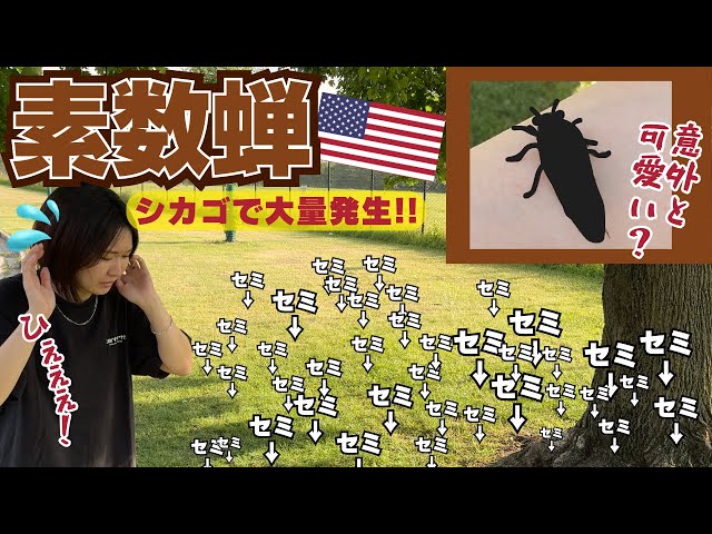 sddefault.jpg