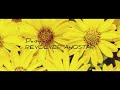 Daisy(DEMO) - REVOLVER AHOSTAR