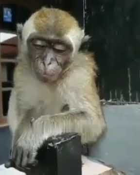 Status WA - Tiada lagi kehangatan