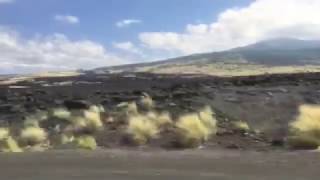 Lefunk Hawaii