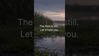 ASMR Rain Sounds | Emotional Exhaustion Relief | Nervous System Reset | Field Ambience