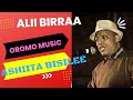Alii birraa  ashiita bisilee  oromo music