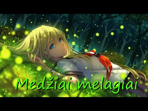 Nightcore - Medžiai Melagiai