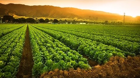 As cities get bigger, rural areas are changing