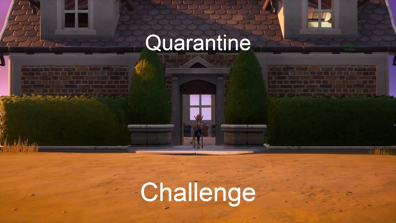 The Quarantine challenge (Funny moments)
