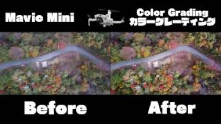 【Mavic Mini】紅葉の空撮映像をカラーグレーディング｜Premiere Pro