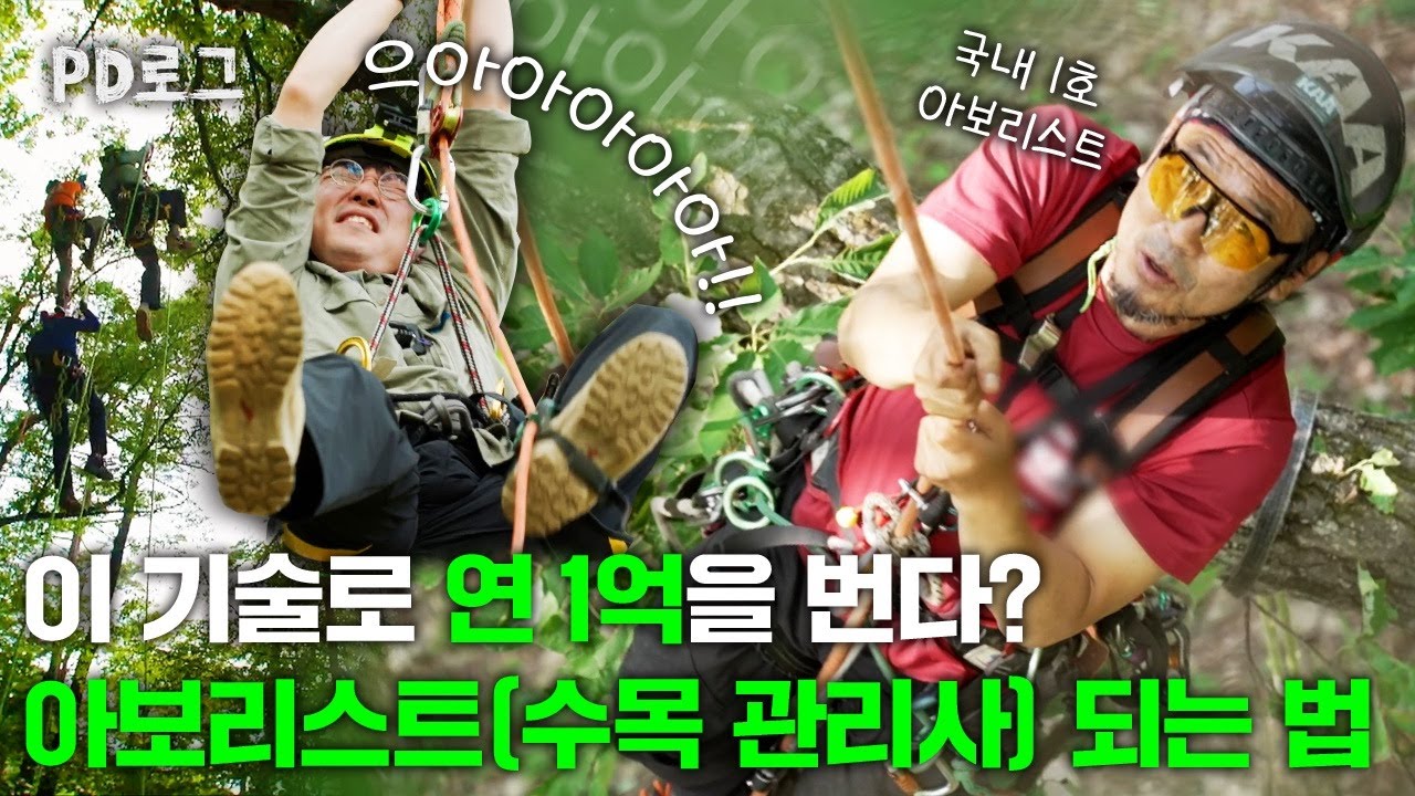 이 기술로 연 1억을 번다? 아보리스트(수목관리사) 되는 법 | PD로그 | 63화 나무 위를 걷는 사람들 1부