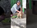 “Grandma was just sitting there cutting #usashorts #usa #viralvideo #viralvideos #funny #viralvideo