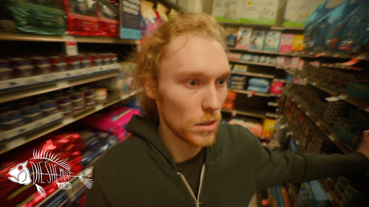 Break It - Solos (Official Video)