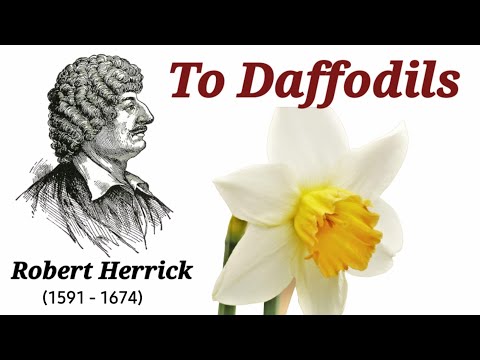 To Daffodils by Robert Herrick || Line-by-Line Explanation in Hindi ||