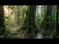 Forest River ASMR • White Noise + Delta 3 Hz • Sleep &amp; Relaxation | 200 Hz | 11 Minutes