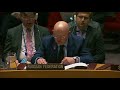 Выступление В.А.Небензи на заседании CБ ООН по миру и безопасности  в Средиземноморскоме регионе