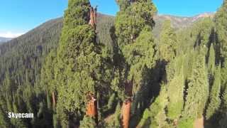 Aerial Flight of the Sequoia National Forest
