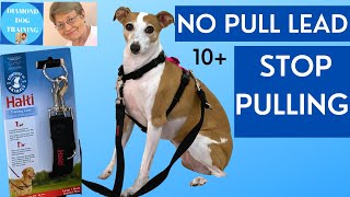 No Pull Dog Lead /Halti Double Ended Lead