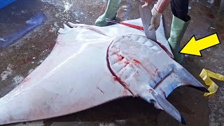 Huge Manta Ray！Seaport Market Fresh Fish, Manta Ray Fish Cutting Skills / 超巨大魟魚來襲！魟魚切割技巧, 港口海鮮市場