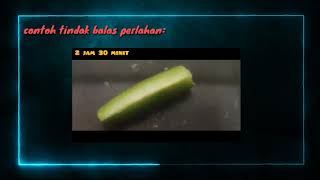 BAB 7 : KADAR TINDAK BALAS | KIMIA TINGKATAN 4 |