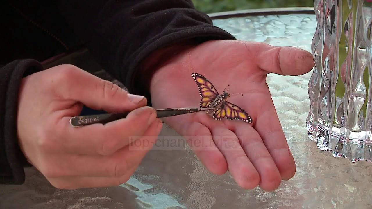 Shpikësi i fluturës robot/ Inxhinieri që u “diplomua” në burg gjatë dënimit për vrasje