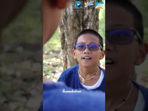 Stupid Taking Cannabis Team : NK Zero Cannabis school #Dnewmedia  #ห่างกัญนะ65 #bannamakuischool