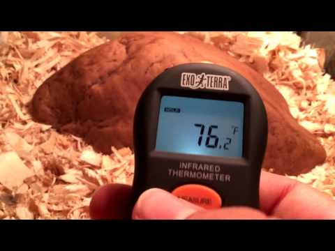 Exo Terra Digital Thermometer & Hygrometer