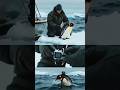 Penguin POV: Swimming the Southern Ocean and Discovering a Giant Ice Cave #PenguinPOV #SouthernOcean