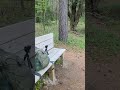 Star Mill Trail