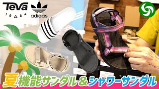 【夏サンダル】機能性とデザイン性を兼ね備えたTeva（テバ）サンダルと、サンダルとしての地位を確立したアディレッタをご紹介。