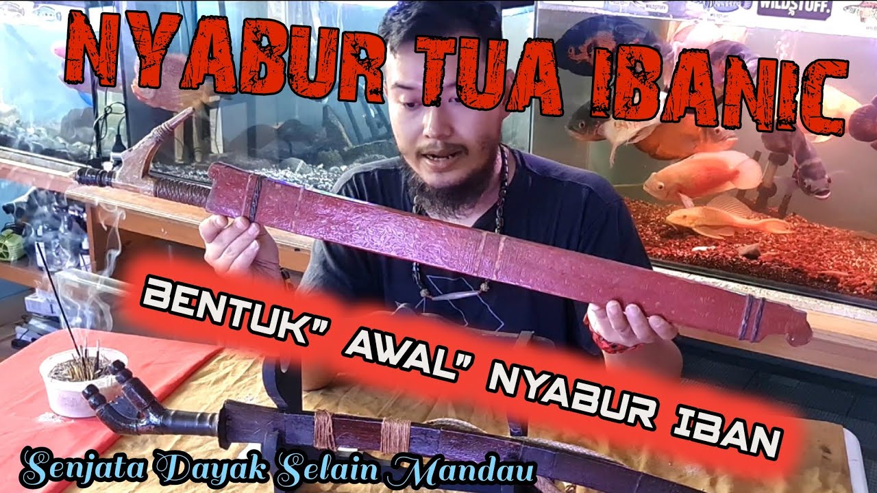 NYABUR TUA DAYAK IBANIC - Prototype Nyabur Terawal - Unik & Langka.