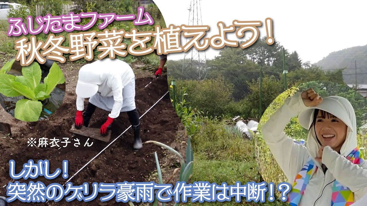 【藤田麻衣子 #7】特技は畝作り‼️”〇〇