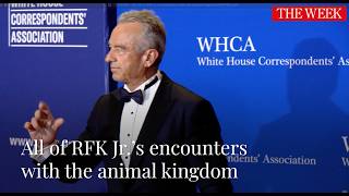 All of RFK Jr.’s encounters with the animal kingdom