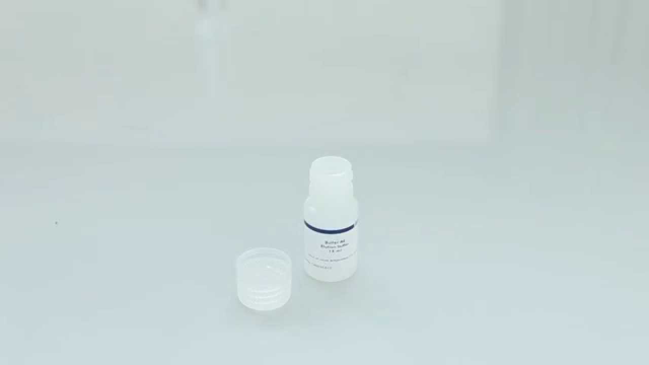 Визуальный протокол DNeasy