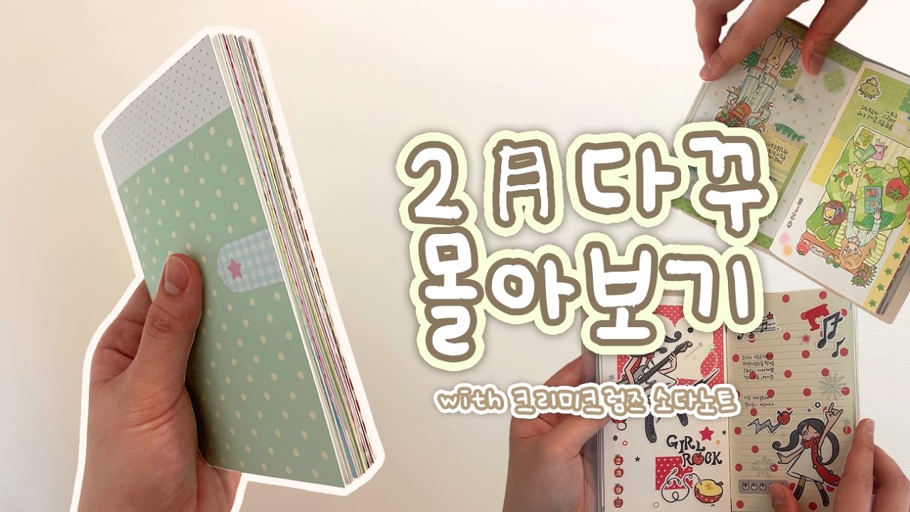 2월 한 달 다꾸 몰아보기 📖 (with 크리미크럼즈 소다 노트)
