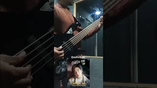 Check Me Only Boo  Saifonbass  Bass Cover bassguitar bass basscover