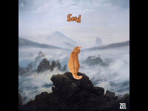 ZEL - SEUL (Clip officiel)