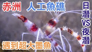 香港赤洲日潛與夜潛 | Port Island Diving Day&night | ポートアイランドダイビングデイ&ナイト 香港赤洲日潛與夜潛 | Port Island Diving Day&night | ポートアイランドダイビングデイ&ナイト
