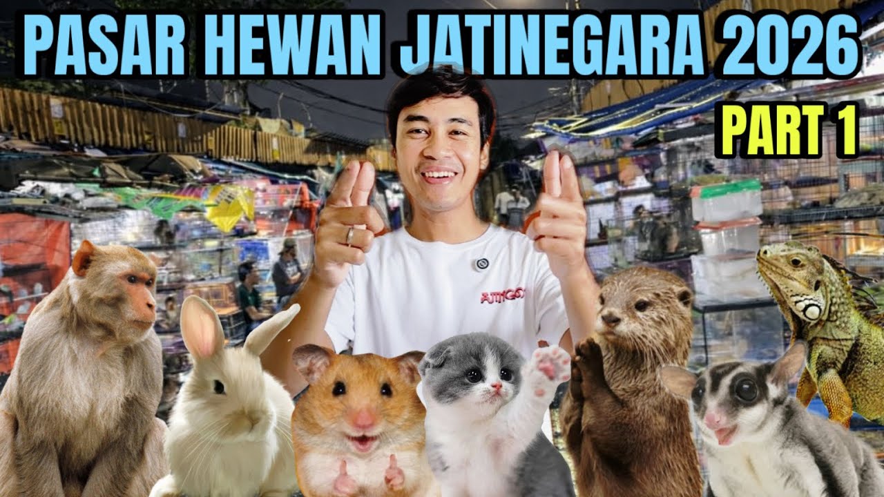 PASAR HEWAN JATINEGARA 2026 ‼️ Part 1