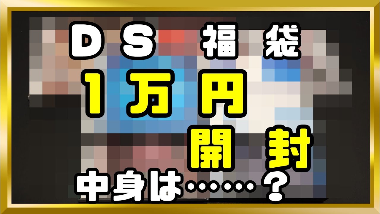 【福袋開封】駿河屋購入 DS 1万円福袋の中身は……？開封してみた！