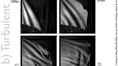 Wrinkled roaches and flapping flags