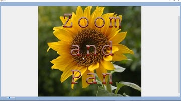 Zoom and Pan an Image using c#