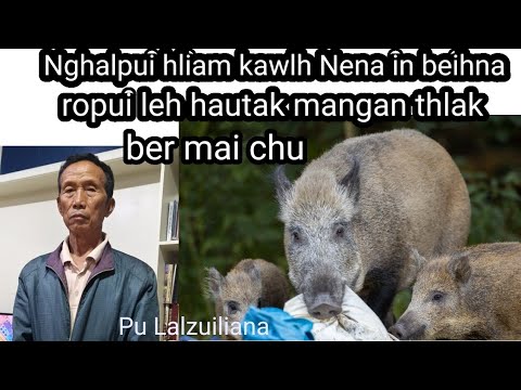 Nghalpui hliam kawlh Nena in beihna ropui Pu Lalzuiliana 