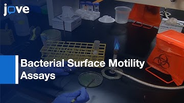 Preparation, Imaging, & Quantification Of Bacterial Surface Motility Assays l Protocol Preview