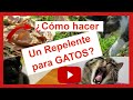 Cómo hacer un REPELENTE NATURAL【para GATOS】